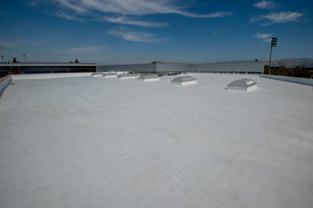 Best Green or Eco-Friendly Roofing Solutions  in Lemoore Station, CA